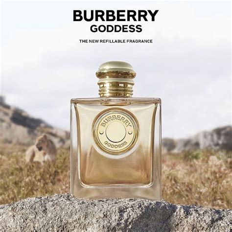 dupes for burberry goddess|burberry goddess fragrantica.